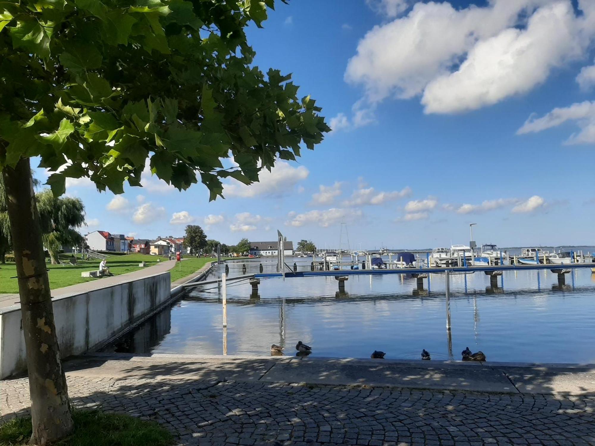 Hotel Perle Am Bodden ริบนิทซ์-ดัมการ์เทิน ภายนอก รูปภาพ